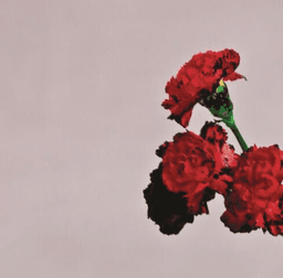 John Legend